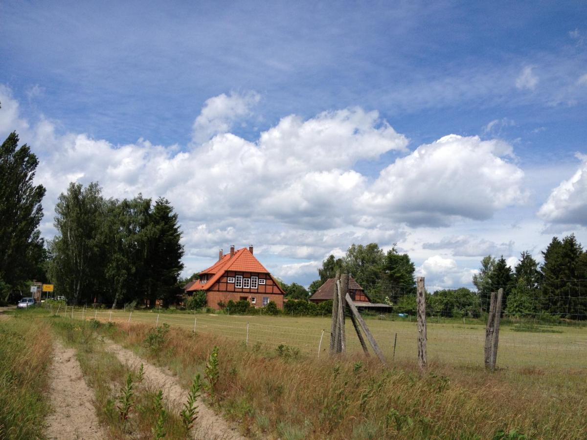 Ferienwohnung 1 Im Landhaus Am Wildpark Boek Ngoại thất bức ảnh