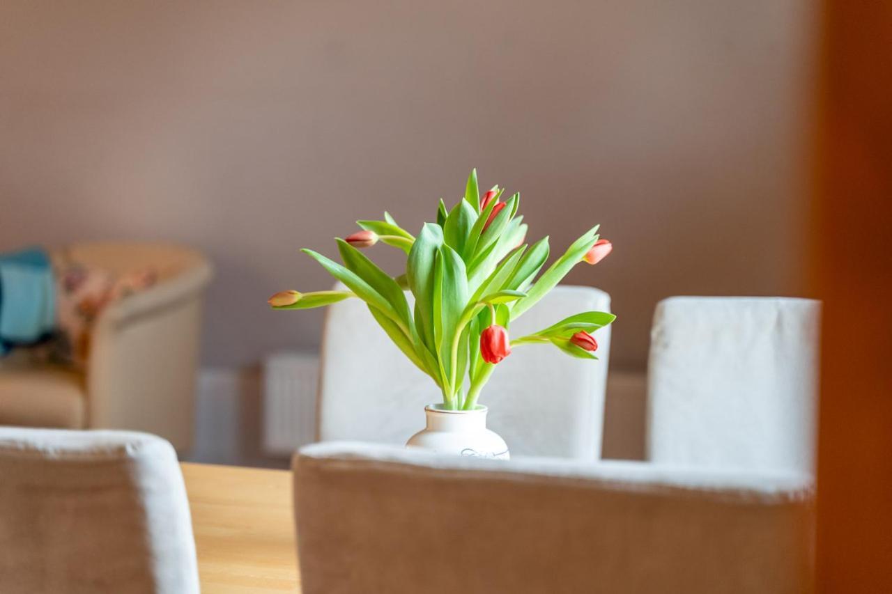 Ferienwohnung 1 Im Landhaus Am Wildpark Boek Ngoại thất bức ảnh